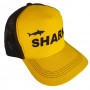 Imagem 4