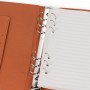 Imagem 7