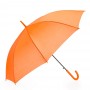 Imagem 7