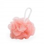 Imagem 9