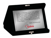 Placa de ao escovado 18x12 - PLCA09