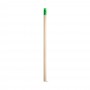 Imagem 5