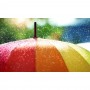 Imagem 6